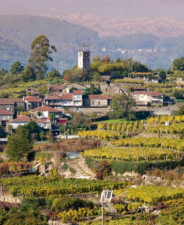 Faced with an Uncertain Future, Ribeiro Is at a Crossroads