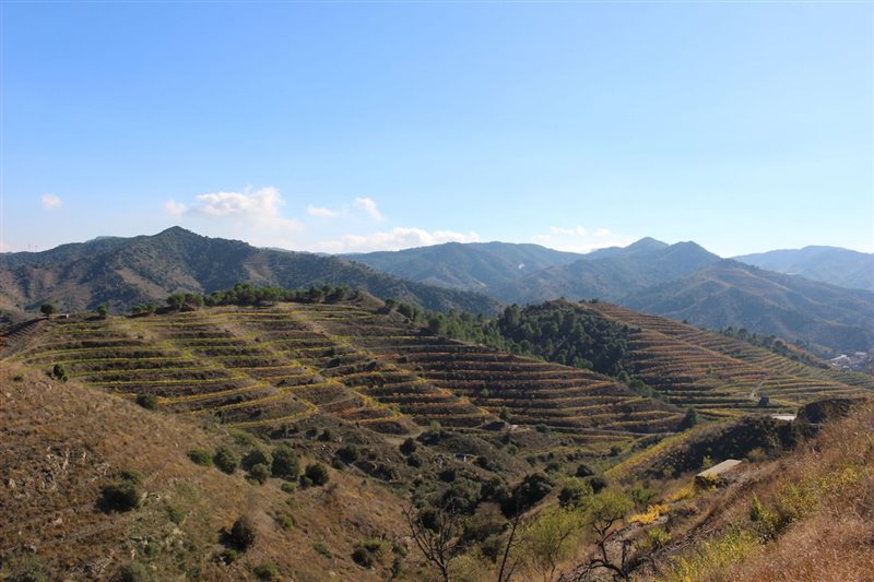 Priorat